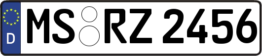MS-RZ2456