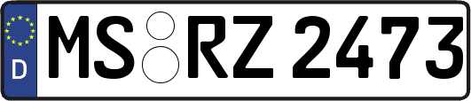 MS-RZ2473