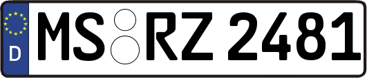 MS-RZ2481