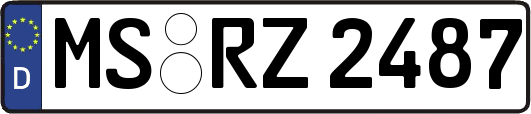 MS-RZ2487