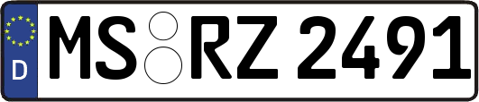 MS-RZ2491
