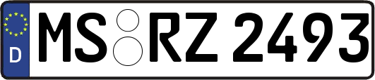 MS-RZ2493