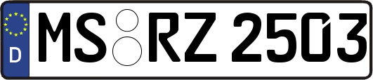 MS-RZ2503