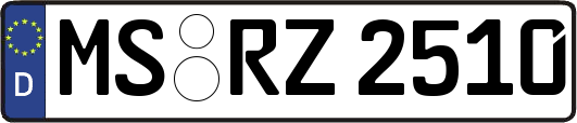 MS-RZ2510