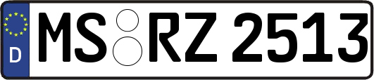 MS-RZ2513