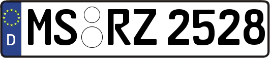 MS-RZ2528