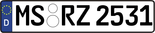 MS-RZ2531