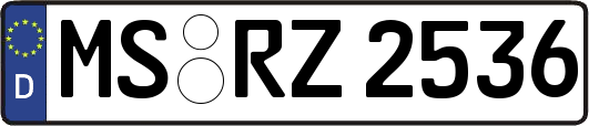 MS-RZ2536
