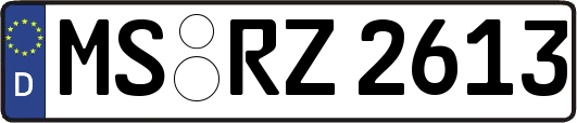 MS-RZ2613