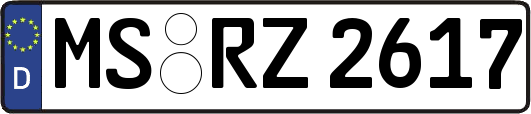 MS-RZ2617