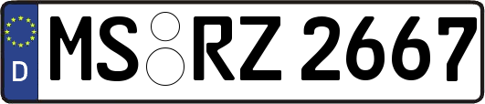 MS-RZ2667