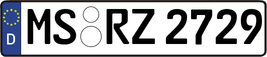 MS-RZ2729