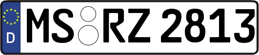 MS-RZ2813