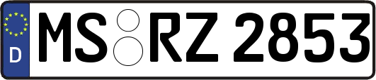 MS-RZ2853