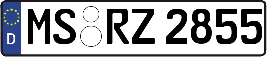 MS-RZ2855