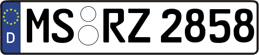 MS-RZ2858