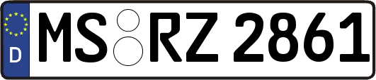 MS-RZ2861