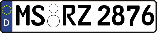 MS-RZ2876