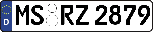 MS-RZ2879