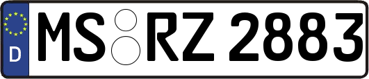 MS-RZ2883
