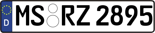 MS-RZ2895