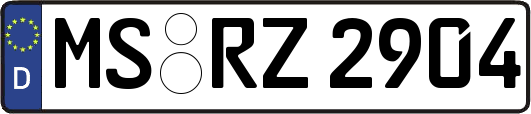 MS-RZ2904