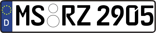 MS-RZ2905