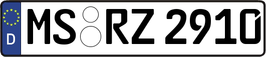 MS-RZ2910