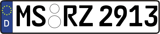 MS-RZ2913