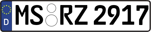 MS-RZ2917