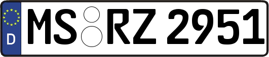 MS-RZ2951
