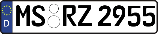 MS-RZ2955