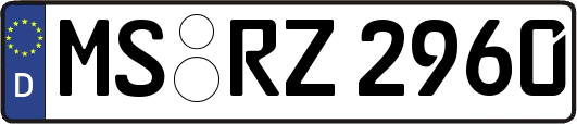 MS-RZ2960