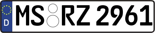 MS-RZ2961