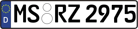 MS-RZ2975