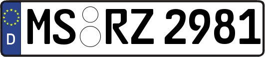 MS-RZ2981