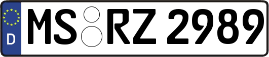 MS-RZ2989