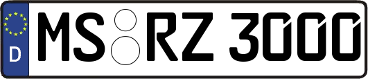 MS-RZ3000