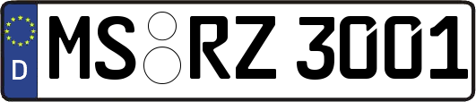 MS-RZ3001