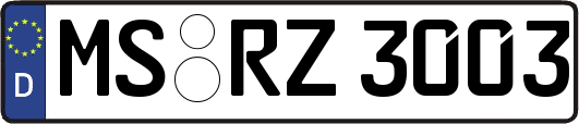 MS-RZ3003