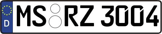 MS-RZ3004