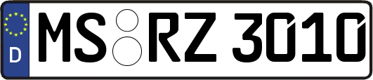 MS-RZ3010