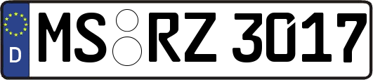 MS-RZ3017