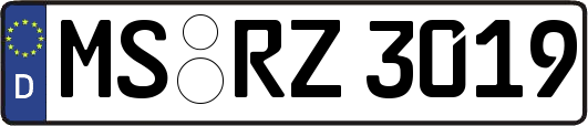 MS-RZ3019