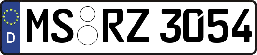 MS-RZ3054