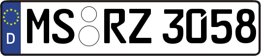 MS-RZ3058