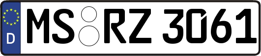 MS-RZ3061