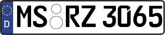 MS-RZ3065