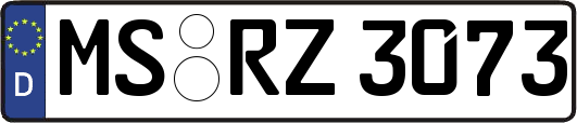 MS-RZ3073