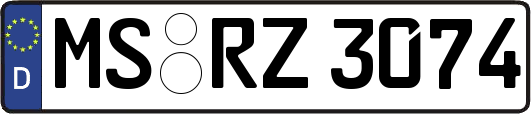 MS-RZ3074